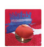 ���ܽ���