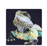 ����Ч������