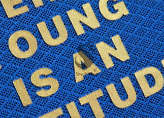 �鿴��һЧ��